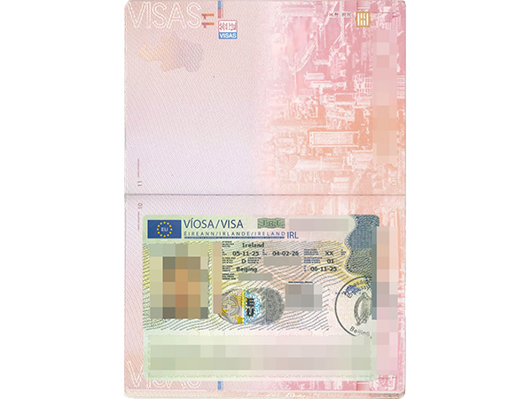 Irish family reunification visa