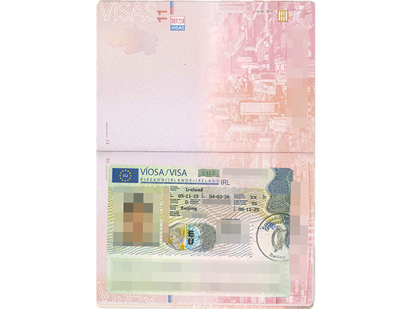 Irish family reunification visa