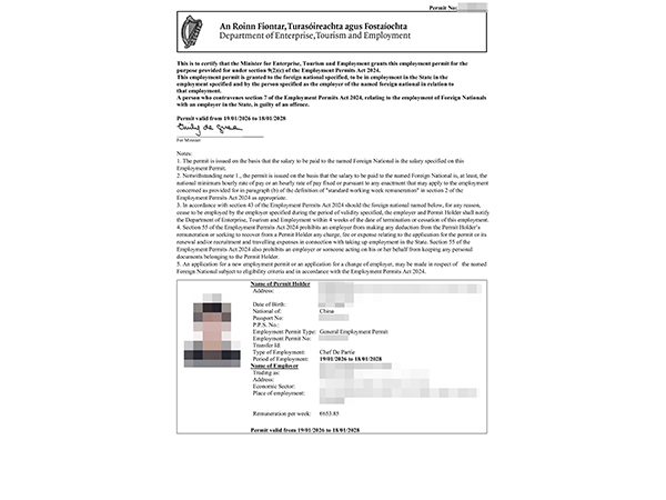 Irish work permit