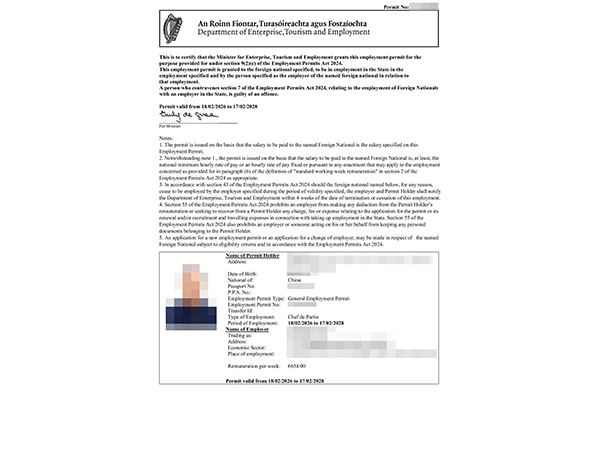 Irish work permit