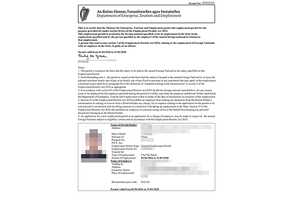 Irish work permit