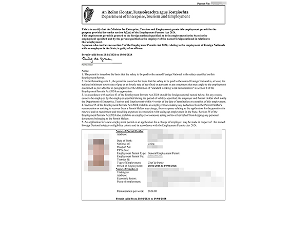 Irish work permit