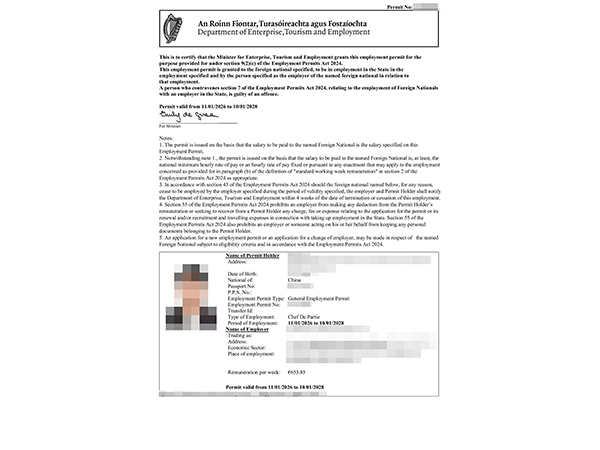 Irish work permit