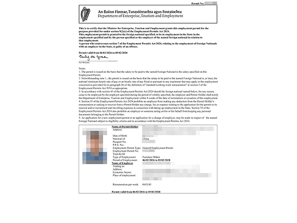 Irish work permit